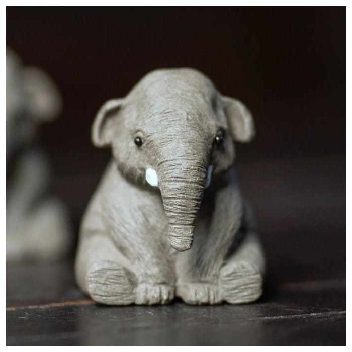 Baby Elephant Tea Pet - Shanghai Teas