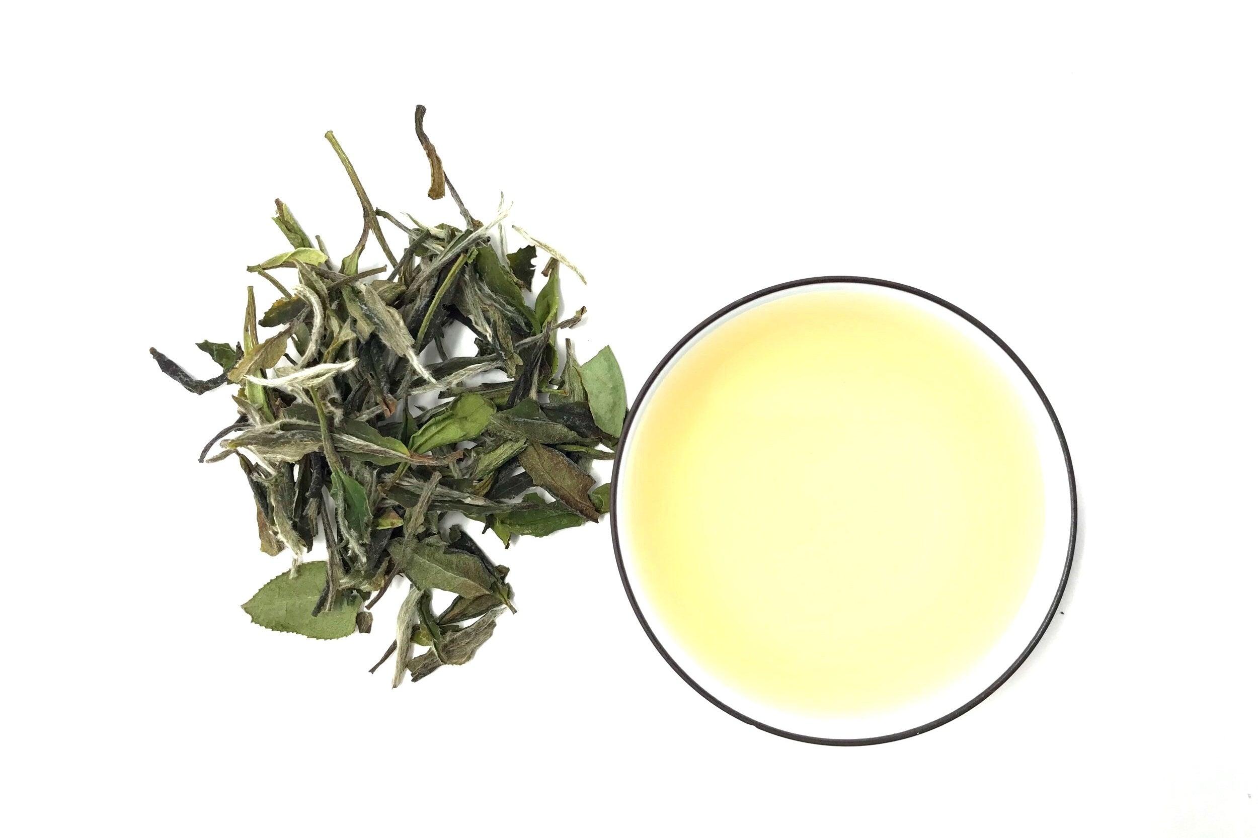 Fujian Bai Mu Dan - Shanghai Teas