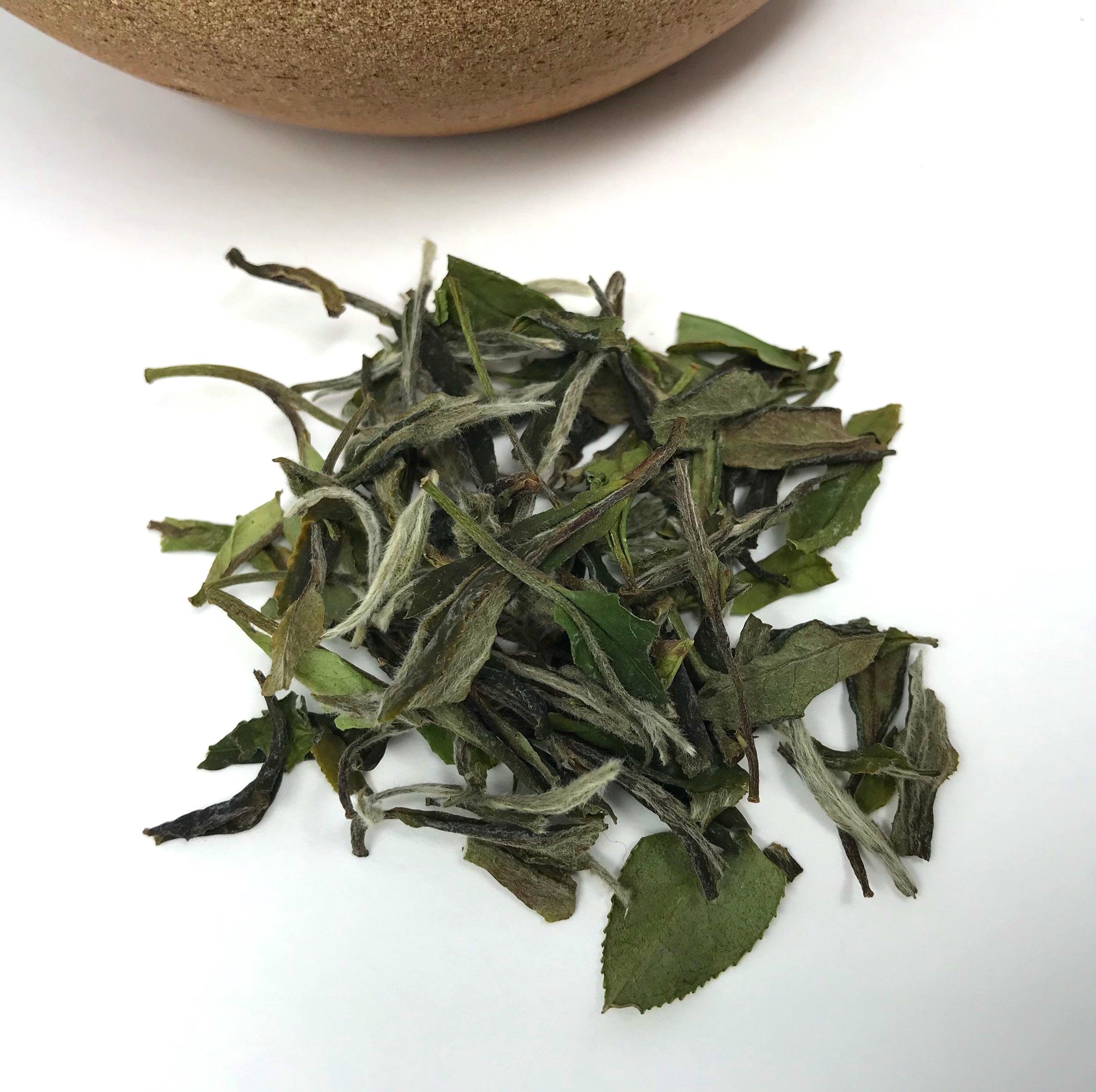 Fujian Bai Mu Dan - Shanghai Teas