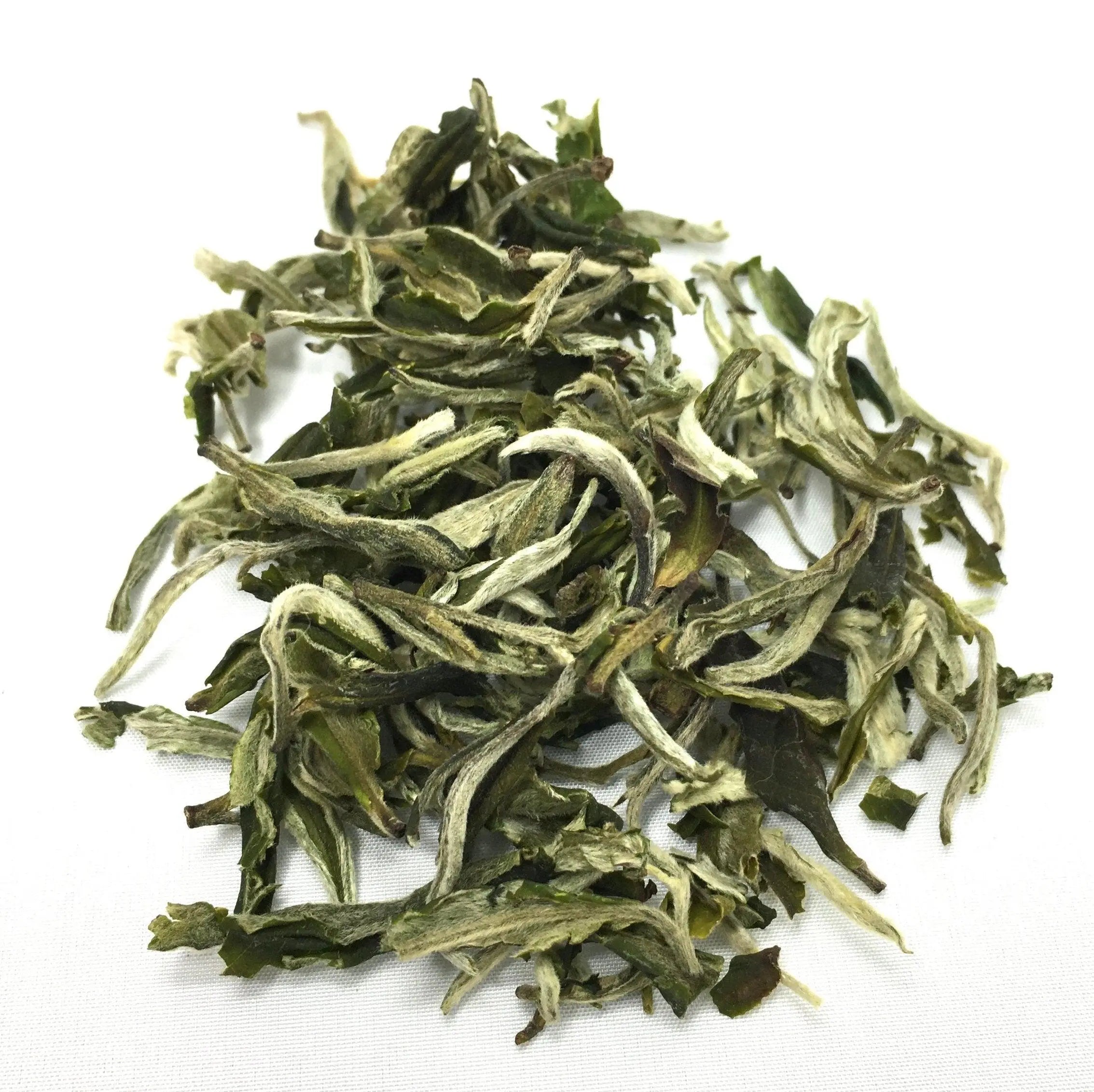 Mao Feng - Shanghai Teas