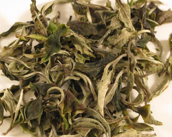 White Peony (Bai Mu Dan) - Shanghai Teas
