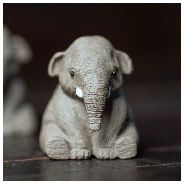 Baby Elephant Tea Pet